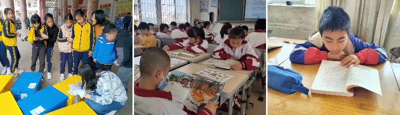 image5.jpg