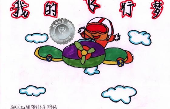 新兴县银奖 | 《我的飞行梦》