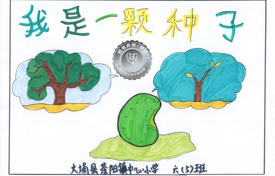 大埔县银奖 | 《我是一颗种子》