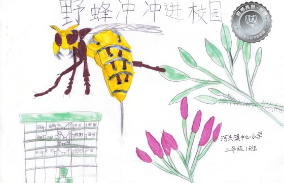 新兴县银奖 | 《野蜂冲冲进校园》
