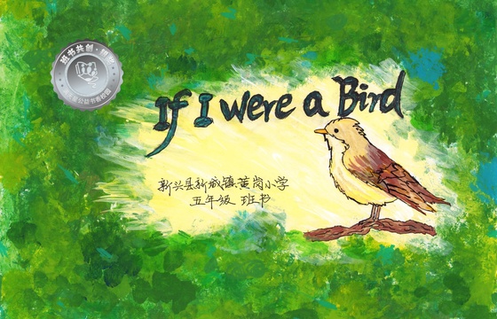 新兴县银奖 | 《If I were a Bird》