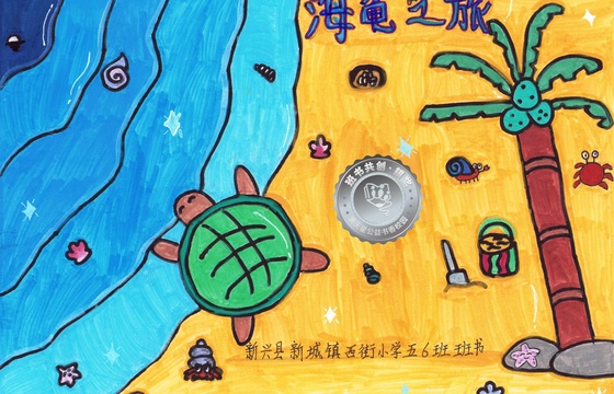 新兴县银奖 | 《海龟之旅》