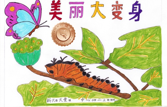 新兴县铜奖 | 《美丽大变身》