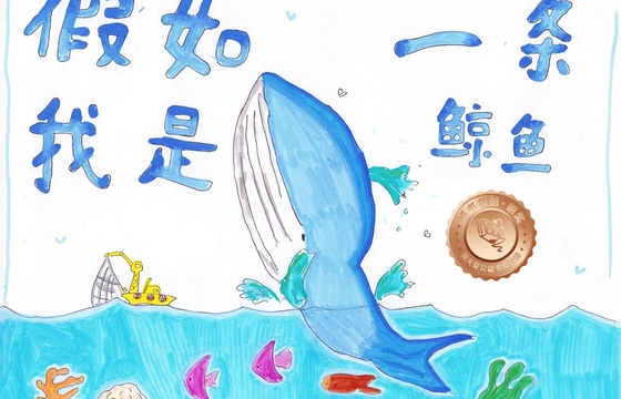 新兴县铜奖 | 《假如我是一条鲸鱼》
