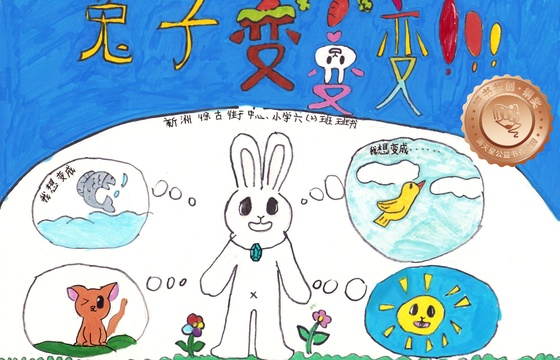 新洲区铜奖 | 《兔子，变变变》
