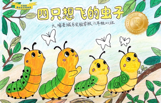 大埔县金奖 |《四只想飞的虫子》