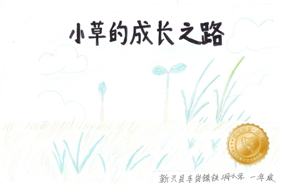 新兴县金奖 |《小草的成长之路》