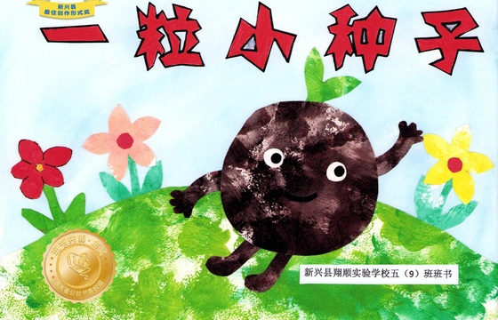 新兴县金奖 |《一粒小种子》
