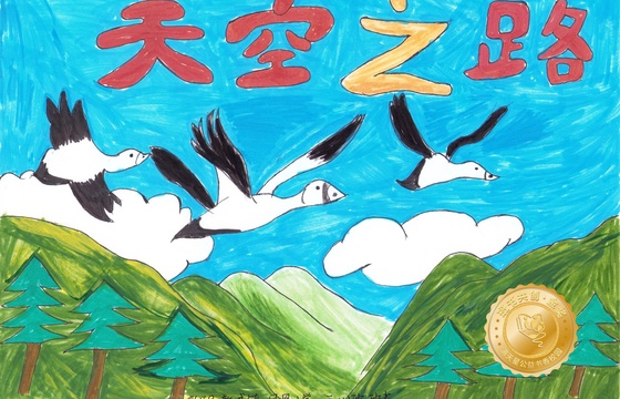 新兴县金奖 |《天空之路》
