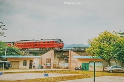 河头镇中心小学